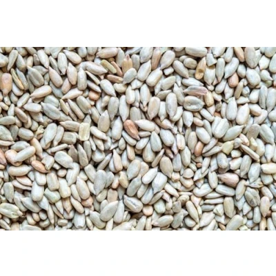 Image of Weterton Feeds 25kg Sunflower Hearts for Wild Birds (12.5 kg x 2)