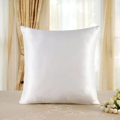 Image of townssilk Both Side 100% 19mm Pure Mulberry Silk Pillowcase for Hair and Skin Health, 50x50cm size Pillow Case Cushion Cover with Hidden Zipper 600 Thread Count Naturalwhite