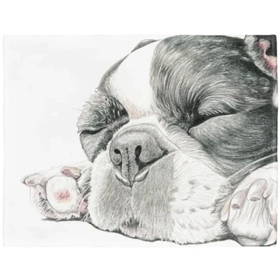 Image of YISUMEI Soft Fleece Blanket Sleepy French Bulldog, 125 x 150 cm Throw Suitable for Sofa or Bed