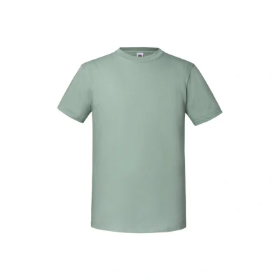 Image of Fruit of the Loom Mens Iconic Premium Ringspun Cotton T Shirt (Sage) Grey Size X Large