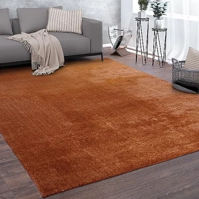 Image of Paco Home Large Rug Short Pile Washable Monochrome Design Modern Soft Copper, Size:60x100 cm