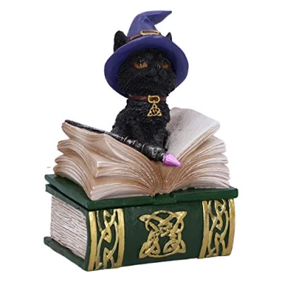 Image of Nemesis Now Binx Small Witches Familiar Black Cat and Spellbook Figurine Box, Green, 11cm