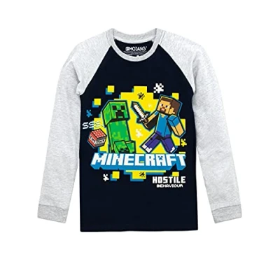 Image of Minecraft Boys Long Sleeved Top Age 11 to 12 Years Multicoloured