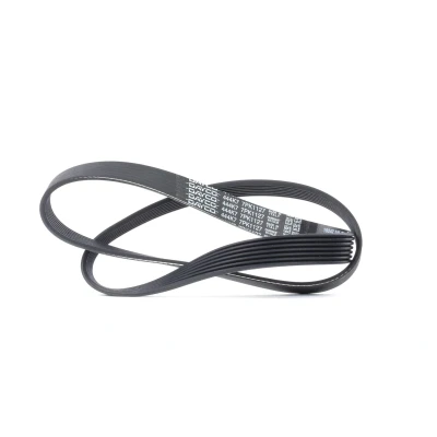 Image of 7x1127 V ribbed belt DAYCO 7PK1127 1127,0mm 7 RENAULT: MEGANE 3 Coupe, SCENIC 3, NISSAN: Juke