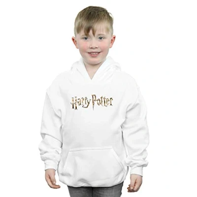 Image of Harry Potter Boys Full Colour Logo Hoodie White 12 13 Years