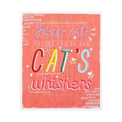 Image of Hallmark Valentine&#039;s Card from the Cat Fun Pink Message Design