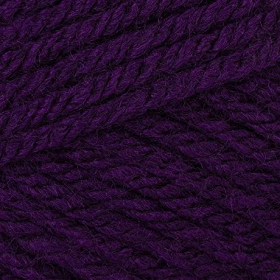 Image of Stylecraft Special DK Knitting Wool / Yarn 100g 1425 EMPEROR