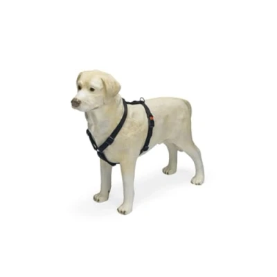 Image of Karlie Art Sportiv Plus Harness, 25 40 cm x 10 mm, Black,
