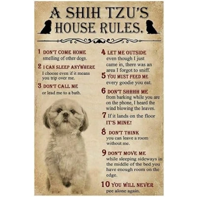 Image of Metal Tin Signs A shih tzu&#039;s house rules Funny Sign Retro Vintage for Home Kitchen Coffee Farm Wall Art Decor 8X12 Inches