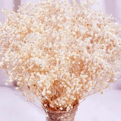 Image of Uhky Dried Flowers Babys Breath Bouquet 17 inch 1600+ Ivory White Flowers, Natural Gypsophila Branches for Wedding DIY Home Party Decor Table Vase Decor(Ivory White)