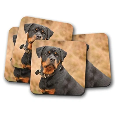 Image of 4 Set Beautiful Rottweiler Coaster Dog Puppy Pet Animal Mum Dad #14321
