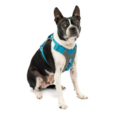 Image of Kurgo Journey Air Harness, Dog Harness for Running and Walking, Lightweight, Breathable, Small Blue
