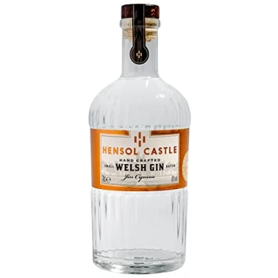 Image of Hensol Castle Welsh Dry Gin 70cl Award Winning London Distilled in Wales with Juniper, Citrus and Wildflower Botanicals Foraged the Grounds A Small Batch, Premium (41% ABV)
