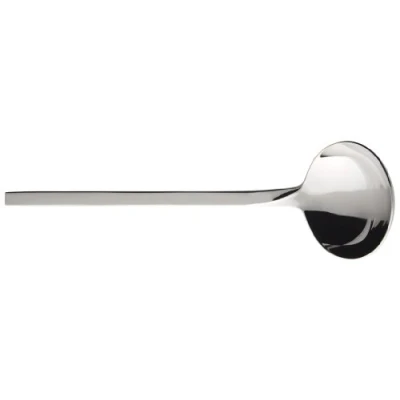 Image of Villeroy &amp; Boch New Wave 302 mm Large Soup Ladle