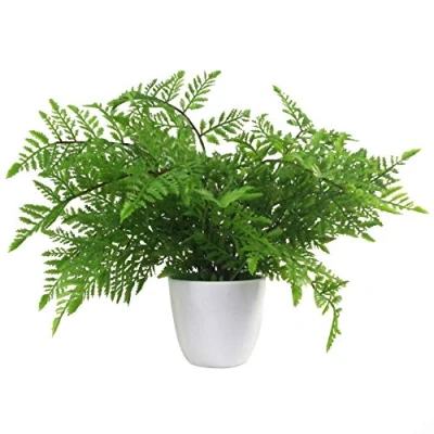 Image of Leaf Artificial Plant with Pot, Southern Wood Fern, 30cm