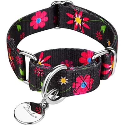 Image of Dazzber Martingale Collars for Dogs Soft Adjustable Dog Collar, Durable D ring Heavy Duty, Choke Collar Large Medium Small (Extra Small, 1.5cm Wide, Black and Sun Flower)
