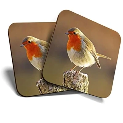 Image of Great Coasters (Set of 2) Square/Glossy Quality Coasters/Tabletop Protection for Any Table Type Robin Redbreast Bird Animals Birds #8701
