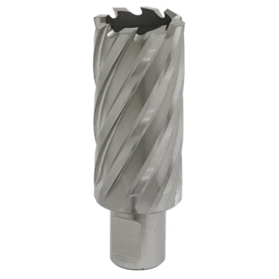 Image of Worksafe Rotabor Cutter HSS Ø30mm Cut Depth 50mm