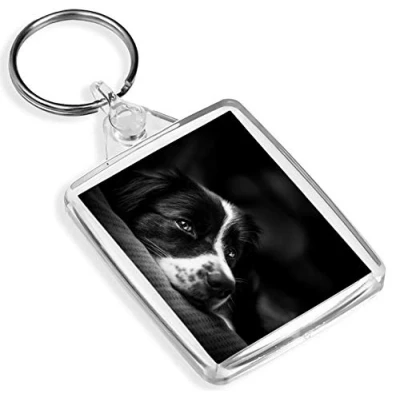 Image of Destination Vinyl Keyrings Beautiful Border Collie IP02 Sheep Dog Puppy Farm Farmer #8639
