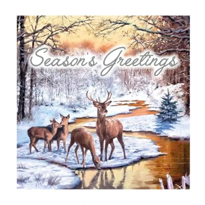 Image of Eurowrap Pack of 12 Assorted Christmas Cards Xmas Woodland Stag Reindeer, 2 Designs Season&#039;s Greetings and Merry Eco Friendly Packaging 100% Recyclable