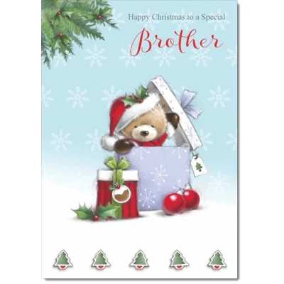 Image of doodlecards Brother Christmas Card Cute Bear Parcel Large A4 Size for with Plain Envelope