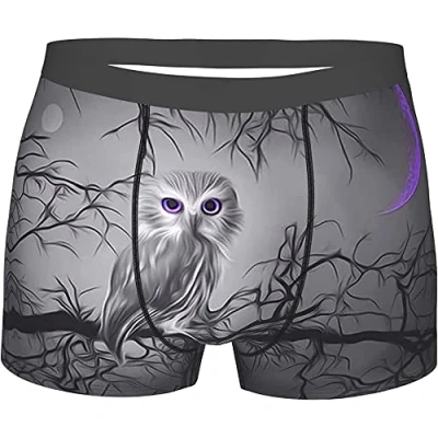 Image of 501 Black And White Owl Men&#039;S Underwear Trunks Antibacterial Sports Briefs Quick Dry Boxers Shorts Stretchy Sport S