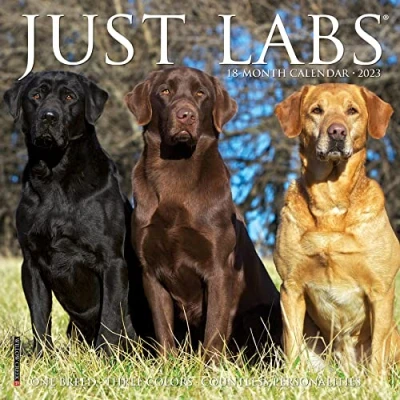 Image of Just Labs 2023 Mini Wall Calendar