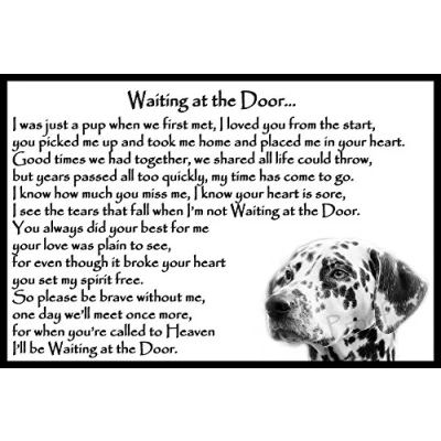 Image of Dalmatian Dog pet loss bereavement gift Flexible Fridge Magnet Memorial Waiting at the Door