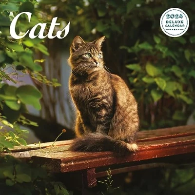 Image of Cat Deluxe 2024 Calendar