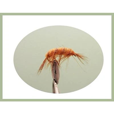 Image of 6 Pack of Shrimp Nymph Trout Grayling Fishing Flies, Choice Sizes (8/10)