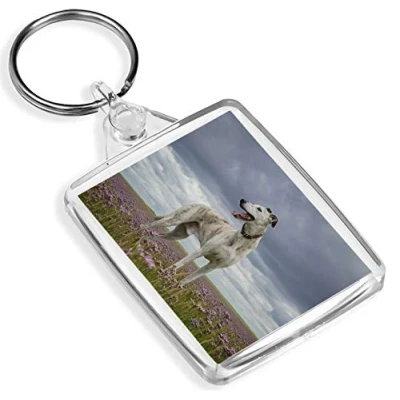 Image of Beautiful Greyhound Keyring Hound Dog Puppy Whippet Pets Animals #16042