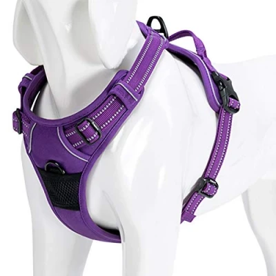 Image of WINHYEPET True Love Dog Harness, No Pull Reflective Pet Harness with 2 Leash Clips Adjustable Soft Padded Vest Easy Control Handle for Small Medium Large TLH5651(Purple,M)