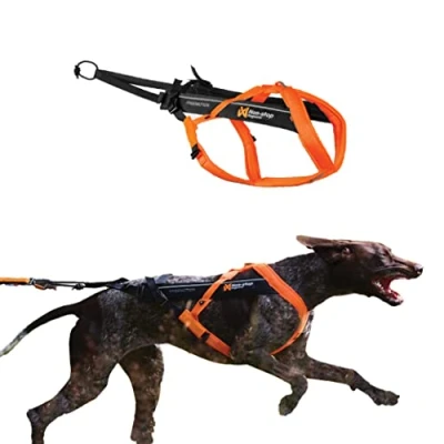Image of Non stop dogwear Freemotion Harness 5.0 Dog Pulling for Sports like Running, Biking and Skiing with Dogs, Professional Adjustable Harness, Orange/Black, Size 7