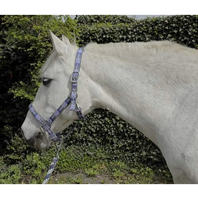 Image of Rhinegold Unisex&#039;s Carnival Headcollar &amp; Rope, Blue Check, Pony