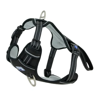 Image of Ancol Viva Exercise and Travel Dog Harness in Black Comfortable Pet Accessory with Padded Chest 2 Leash Clips Medium 45 65cm