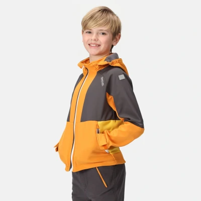 Image of Regatta Boys Haydenbury Softshell Jacket, Orange Pepper/Seal Grey, 7 8 Years UK