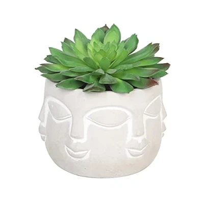 Image of Sleepdown Halo Green Artificial Faux Plant Succulent Faces Pot for Home Office Bathroom Decor Indoor Decoration Aesthetics, Small