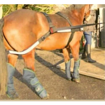 Image of Easy Loader Equisafe for Horse Trailers
