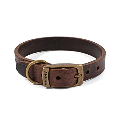 Image of ANCOL Latigo Flexible Stretchy Havana Collar Animal Pet Training Accessory 26 31 cm, Size 2