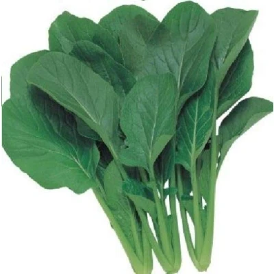Image of 400 Seeds of Vegetable Komatsuna Japanese Green Boy