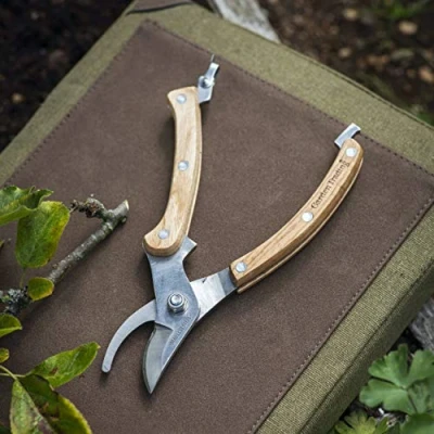 Image of CKB LTD Round Head Pruning Shears Heavy Duty Professional Hand Pruner Snip Tree Trimmer Garden for Plants, Bush Shrub &amp; Hedges Stainless Steel Wood