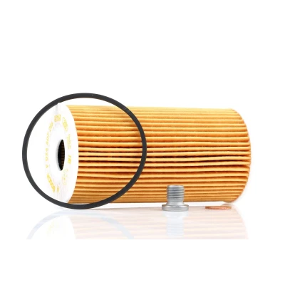 Image of 00K68031597AB, K68031597AA, K68031597AB Oil Filter BOSCH F 026 407 206 with gaskets/seals Insert CHRYSLER: GRAND 5OYAGER 5
