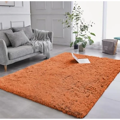 Image of AMEHA Rugs Living Room 120 x 170 cm Fluffy Shaggy Rust Area for Bedroom Modern Super Soft Plush Carpet Non Slip Shedding Easy To Clean Rug
