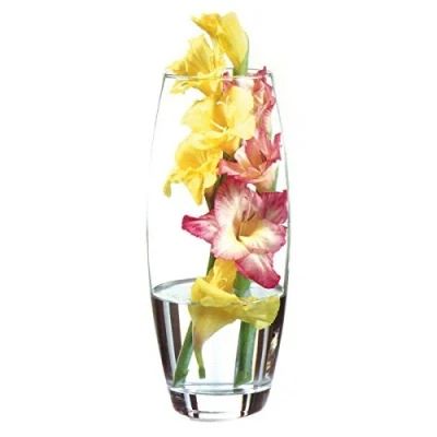 Image of Pasabahce Clear Glass Vase H 10