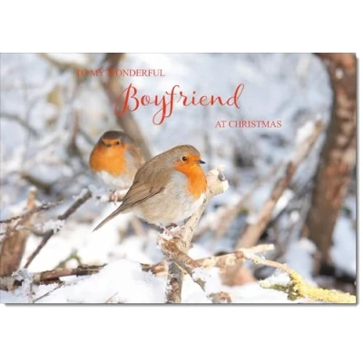 Image of doodlecards Boyfriend Christmas Card Two Robins in Tree Medium Size for with Plain Envelope