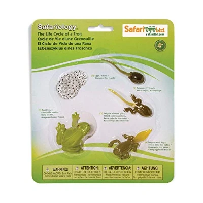 Image of Safari Ltd. 269129 Life Cycle OF A Frog