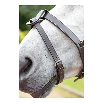 Image of Shires Velociti GARA Flash Strap Extra Full Havana