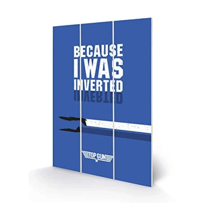 Image of Top Gun Wall Art (Inverted Design) 20cm x 29.5cm Official Merchandise ​