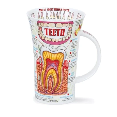 Image of Dunoon Glencoe Shape Fine Bone China Mug Teeth
