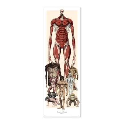 Image of Grupo Erik Attack On Titan Poster 20.8 x 62.2 inches / 53 158 cm Shipped Rolled Up Cool Posters Art &amp; Prints Door
